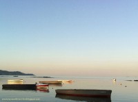 /album/galerie-photos/a11357146-439307086230132-5306196184813291450-o-jpg/